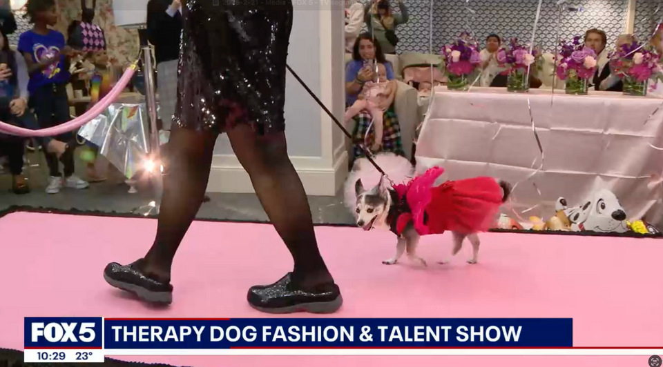 FOX 5 News Coverage of the Therapy Dog Fashion and Talent Show - RMH-NY